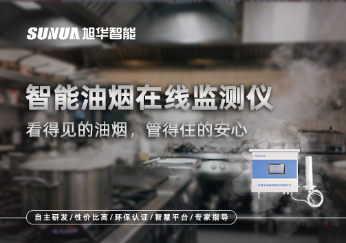 智能油烟在线监测仪：看得见的油烟，管得住的安心